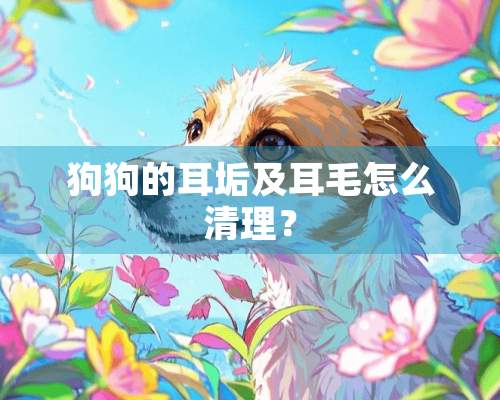 狗狗的耳垢及耳毛怎么清理？