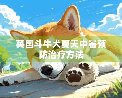 英国斗牛犬夏天中暑预防治疗方法