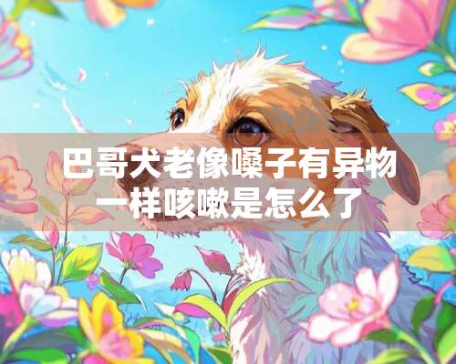 巴哥犬老像嗓子有异物一样咳嗽是怎么了