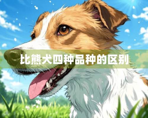 比熊犬四种品种的区别