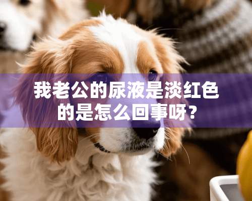 我老公的尿液是淡红色的是怎么回事呀？