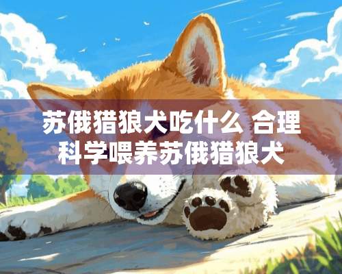 苏俄猎狼犬吃什么 合理科学喂养苏俄猎狼犬