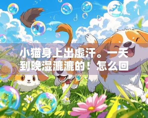 小猫身上出虚汗。一天到晚湿漉漉的！怎么回事？？