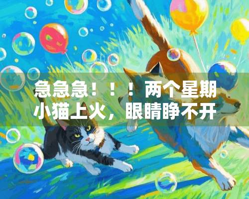 急急急！！！两个星期小猫上火，眼睛睁不开了怎么办！！