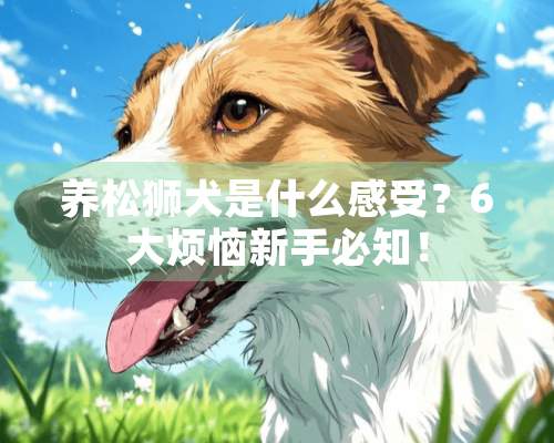 养松狮犬是什么感受？6大烦恼新手必知！