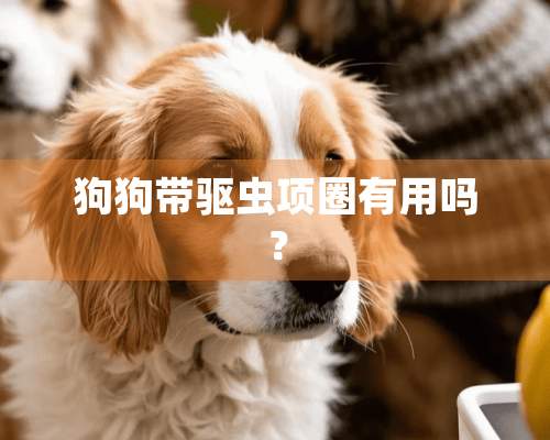 狗狗带驱虫项圈有用吗？