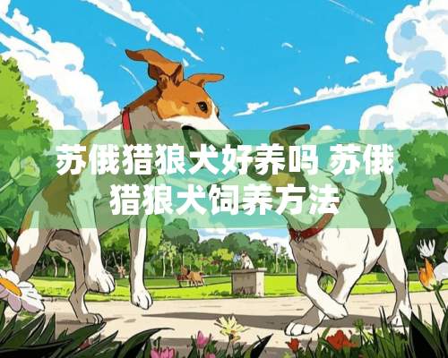 苏俄猎狼犬好养吗 苏俄猎狼犬饲养方法