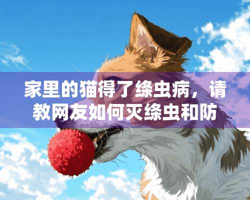 家里的猫得了绦虫病，请教网友如何灭绦虫和防止人感染