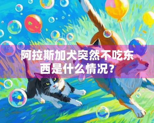 阿拉斯加犬突然不吃东西是什么情况？