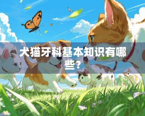 犬猫牙科基本知识有哪些？