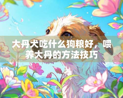 大丹犬吃什么狗粮好，喂养大丹的方法技巧