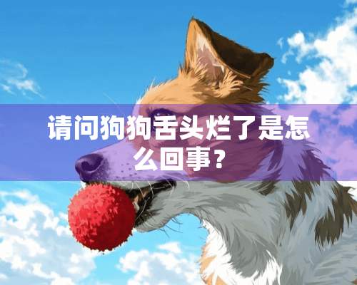 请问狗狗舌头烂了是怎么回事？