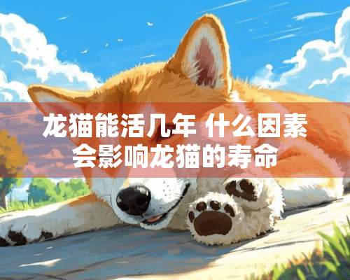 龙猫能活几年 什么因素会影响龙猫的寿命