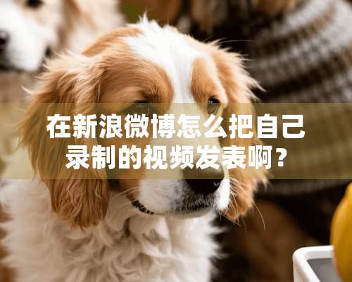 在新浪微博怎么把自己录制的视频发表啊？