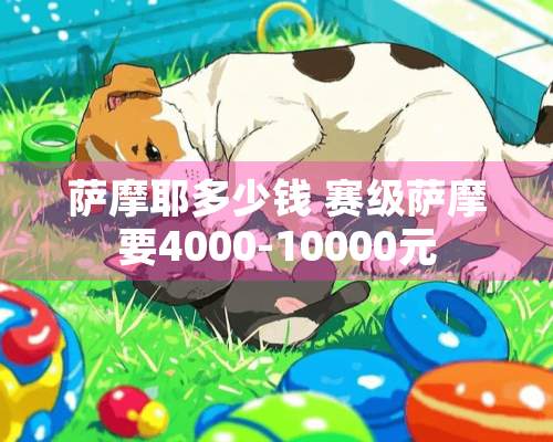 萨摩耶多少钱 赛级萨摩要4000-10000元