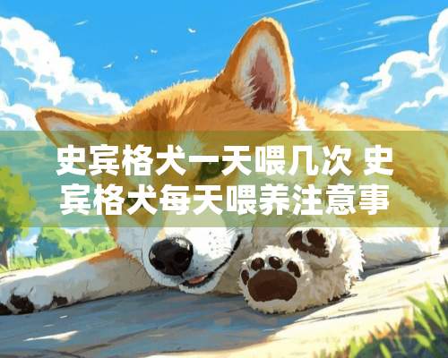 史宾格犬一天喂几次 史宾格犬每天喂养注意事项