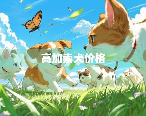 高加索犬价格