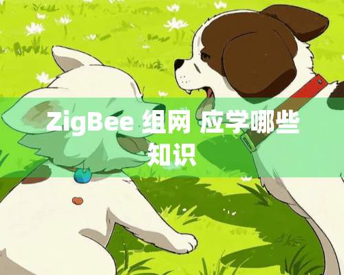 ZigBee 组网 应学哪些知识