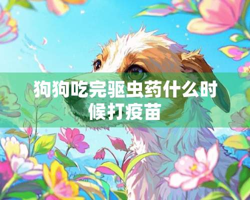 狗狗吃完驱虫药什么时候打疫苗