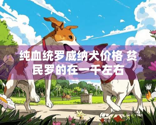 纯血统罗威纳犬价格 贫民罗的在一千左右