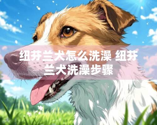 纽芬兰犬怎么洗澡 纽芬兰犬洗澡步骤