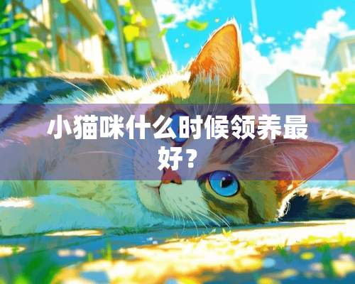 小猫咪什么时候领养最好？