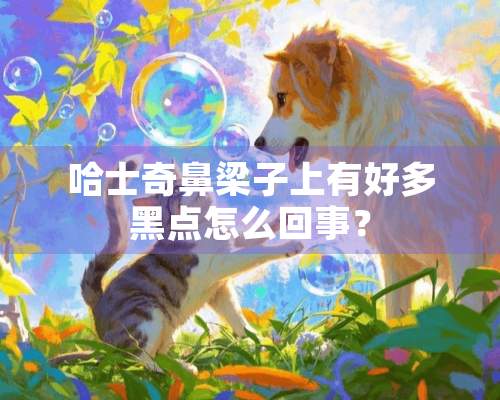 哈士奇鼻梁子上有好多黑点怎么回事？