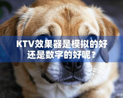 KTV效果器是模拟的好还是数字的好呢？