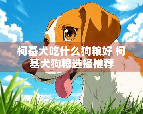 柯基犬吃什么狗粮好 柯基犬狗粮选择推荐