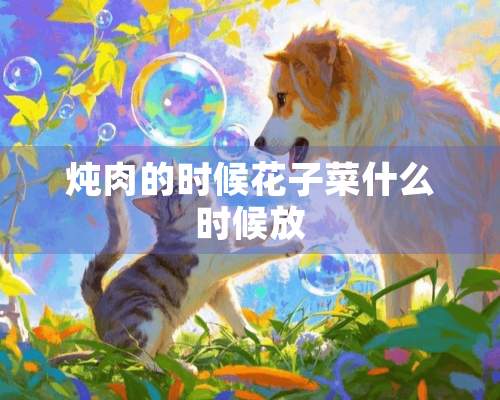 炖肉的时候花子菜什么时候放