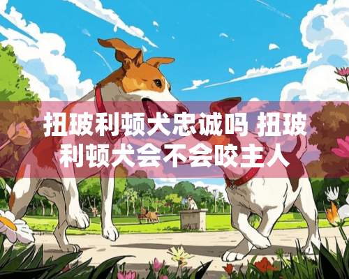 扭玻利顿犬忠诚吗 扭玻利顿犬会不会咬主人