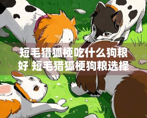 短毛猎狐梗吃什么狗粮好 短毛猎狐梗狗粮选择技巧