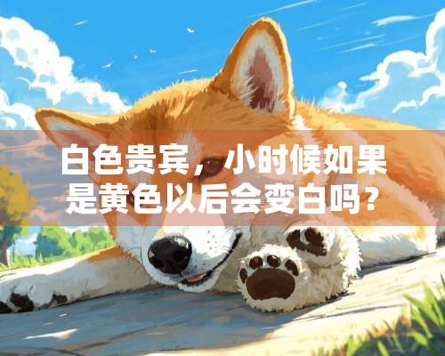 白色贵宾，小时候如果是**以后会变白吗？