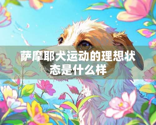 萨摩耶犬运动的理想状态是什么样