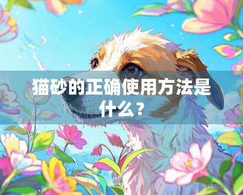 猫砂的正确使用方法是什么？