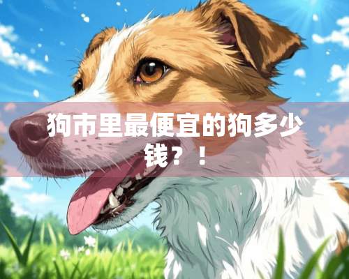 狗市里最便宜的狗多少钱？！