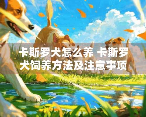 卡斯罗犬怎么养 卡斯罗犬饲养方法及注意事项