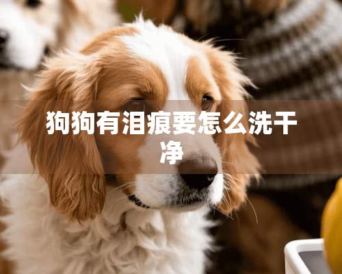 狗狗有泪痕要怎么洗干净