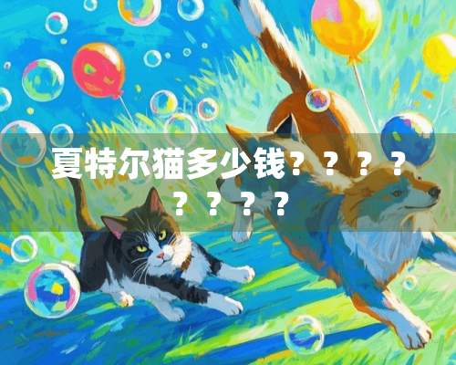 夏特尔猫多少钱？？？？？？？？