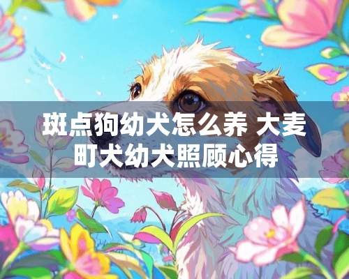 斑点狗幼犬怎么养 大麦町犬幼犬照顾心得