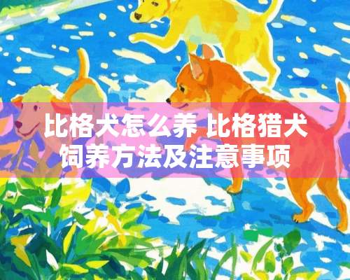 比格犬怎么养 比格猎犬饲养方法及注意事项