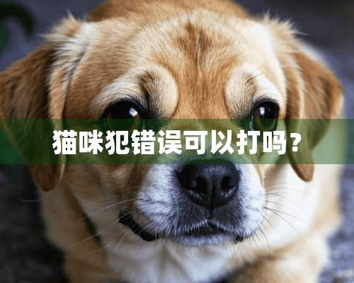 猫咪犯错误可以打吗？