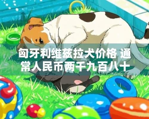 匈牙利维兹拉犬价格 通常人民币两千九百八十六元