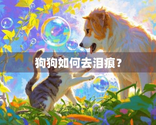 狗狗如何去泪痕？