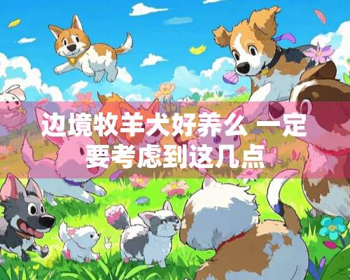 边境牧羊犬好养么 一定要考虑到这几点