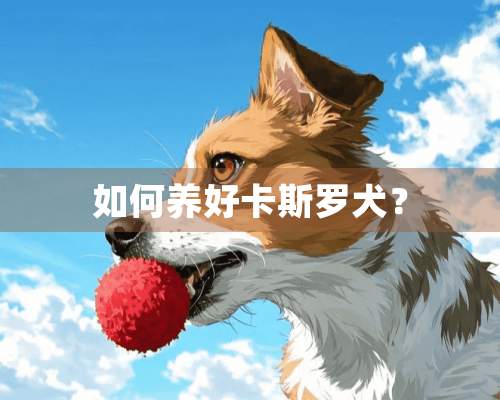 如何养好卡斯罗犬？