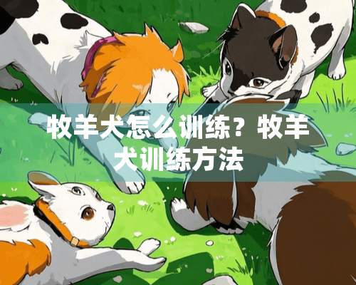 牧羊犬怎么训练？牧羊犬训练方法