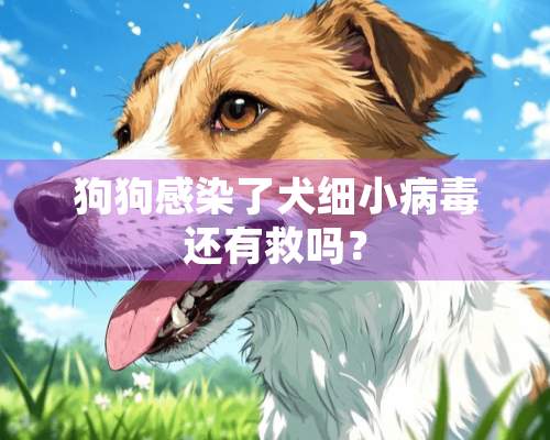 狗狗感染了犬细小病毒还有救吗？