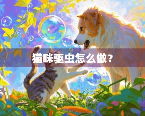 猫咪驱虫怎么做？