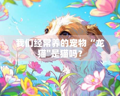 我们经常养的宠物“龙猫″是猫吗？